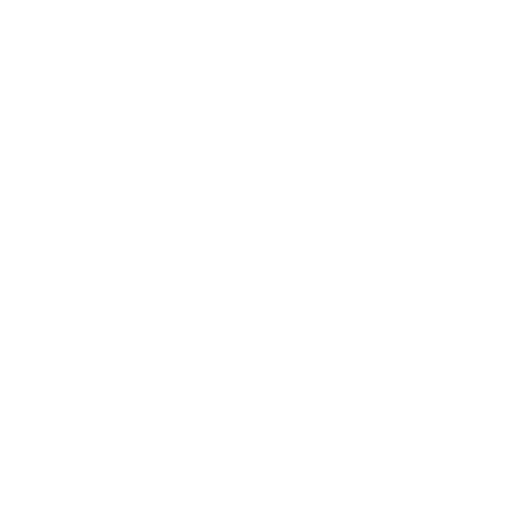 Mechanic man